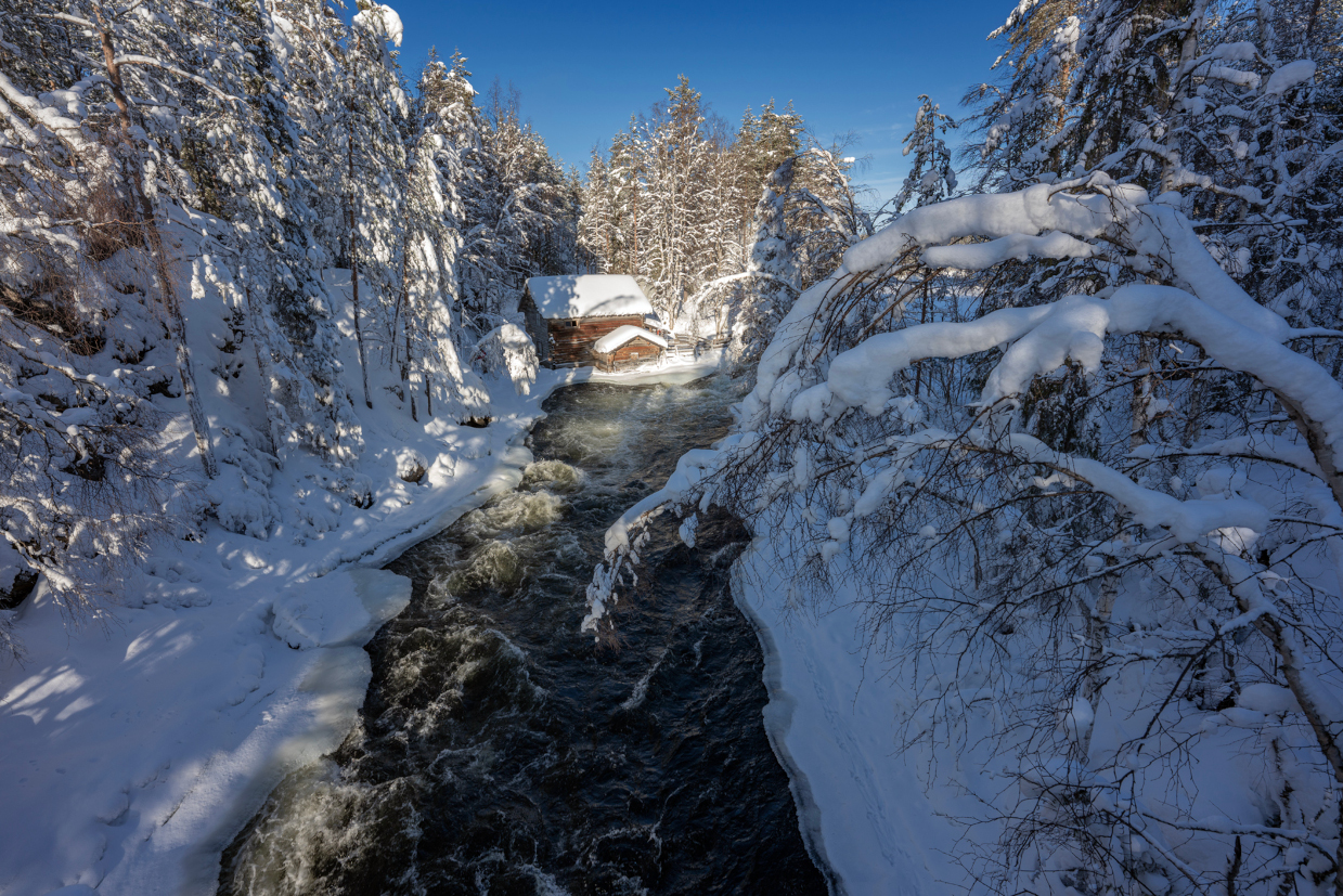 Introduction background